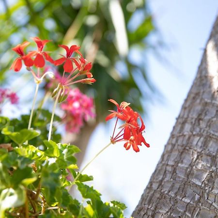 Willa La Lantana Marina di Ragusa Zewnętrze zdjęcie